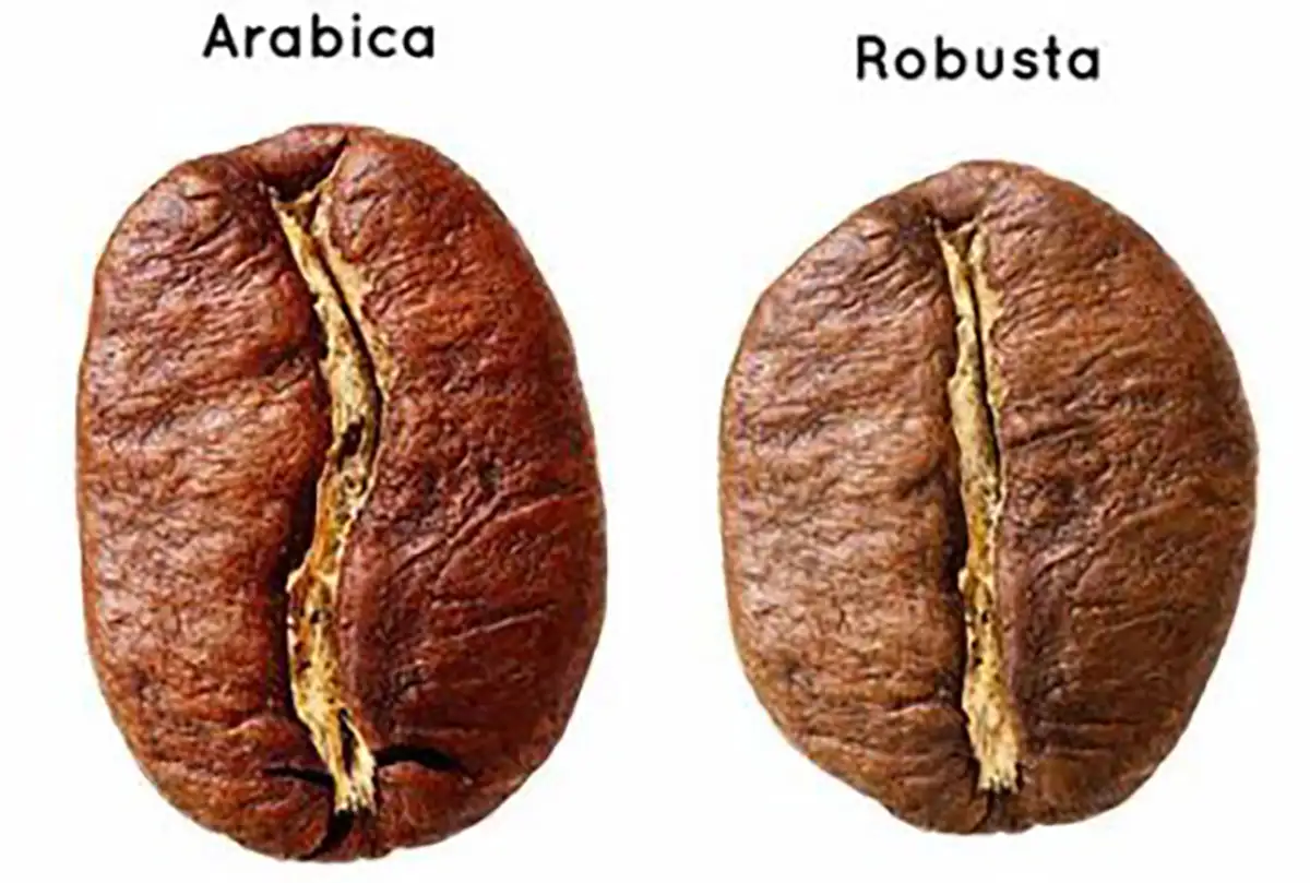 خرید قهوه کیلویی