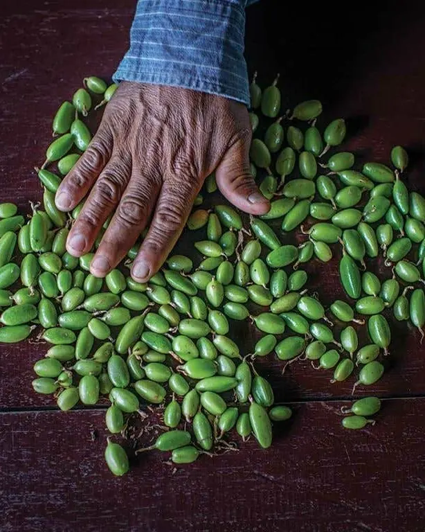 دست روی نپ‌های هل سبز تازه روی تخته چوبی تیره