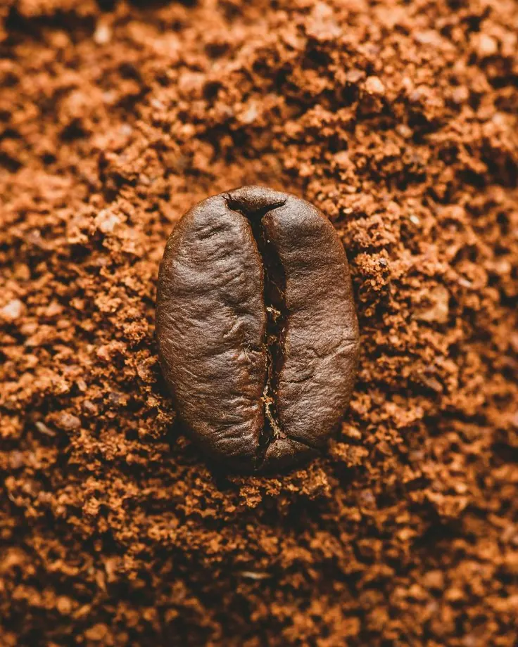 نمای نزدیک یک دانه قهوه برشته روی پودر قهوه