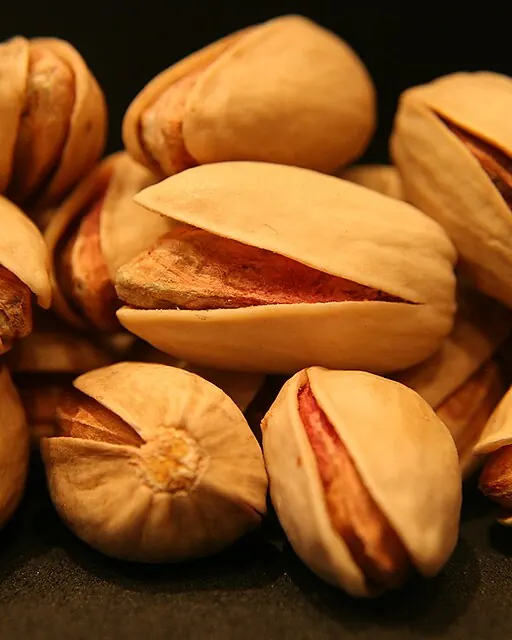 پسته ایرانی خشک با دهانه باز، نمای نزدیک روی پسزمینه تیره